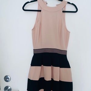 Rose & Black Dress